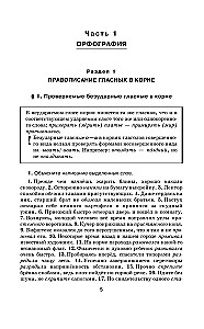 Практикум по русскому языку для старшеклассников и абитуриентов